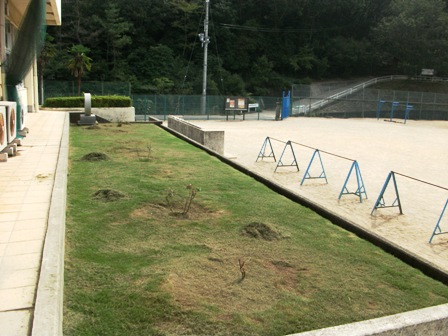 kusakari